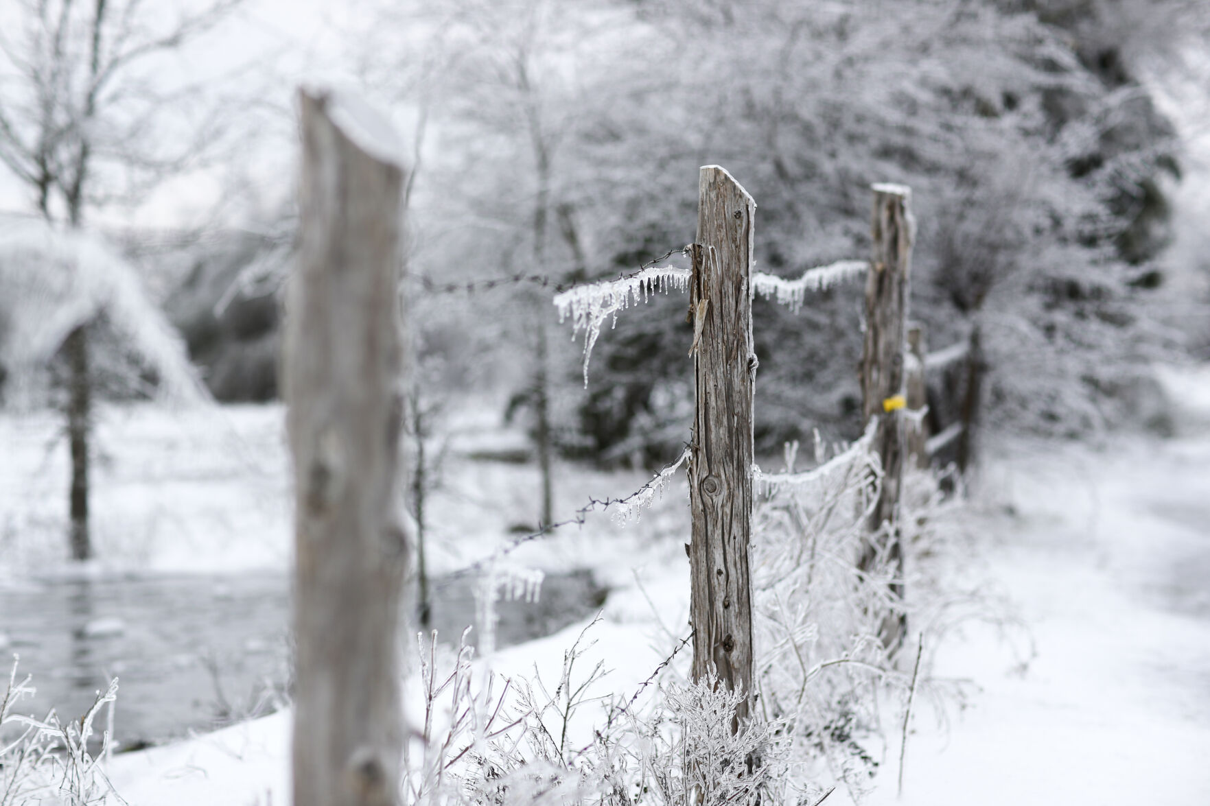 20210218 Winter Weather CS 16.jpg